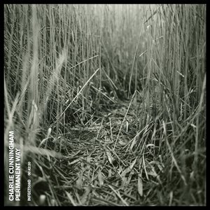 欧美❌❌❌❌高潮
