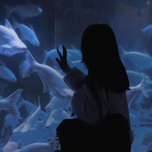 欧美❌❌❌❌高潮
